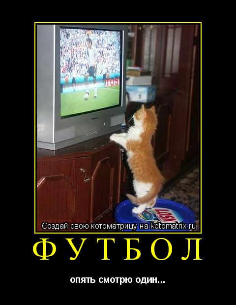 футбол опять смотрю один...... Котоматрица: футбол опять смотрю один...
