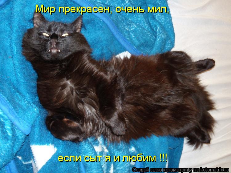Мир прекрасен, очень мил, если сыт я и любим !!!... Котоматрица: Мир прекрасен, очень мил, если сыт я и любим !!!