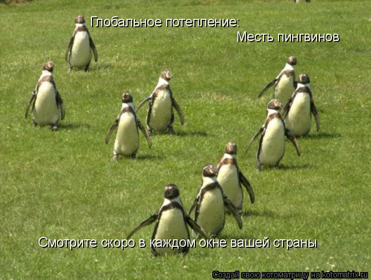 Котоматрица: Глобальное потепление: Месть пингвинов Смотрите скоро в каждом окне вашей страны