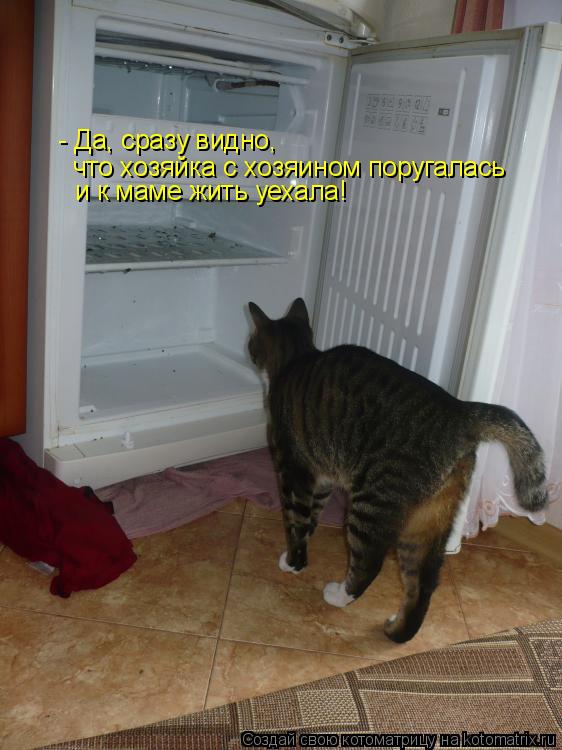Котоматрица: - Да, сразу видно, что хозяйка с хозяином поругалась и к маме жить уехала!