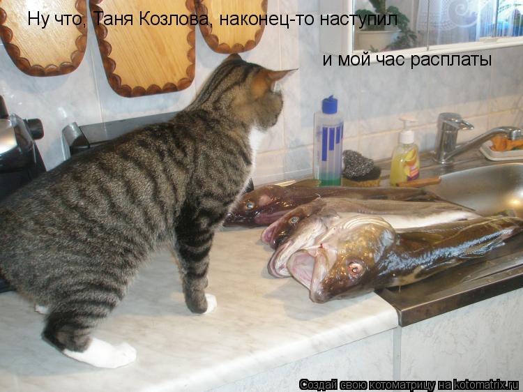 Ну что, Таня Козлова, наконец-то наступил и мой час расплаты... Котоматрица: Ну что, Таня Козлова, наконец-то наступил и мой час расплаты