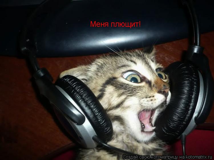 Меня плющит!... Котоматрица: Меня плющит!