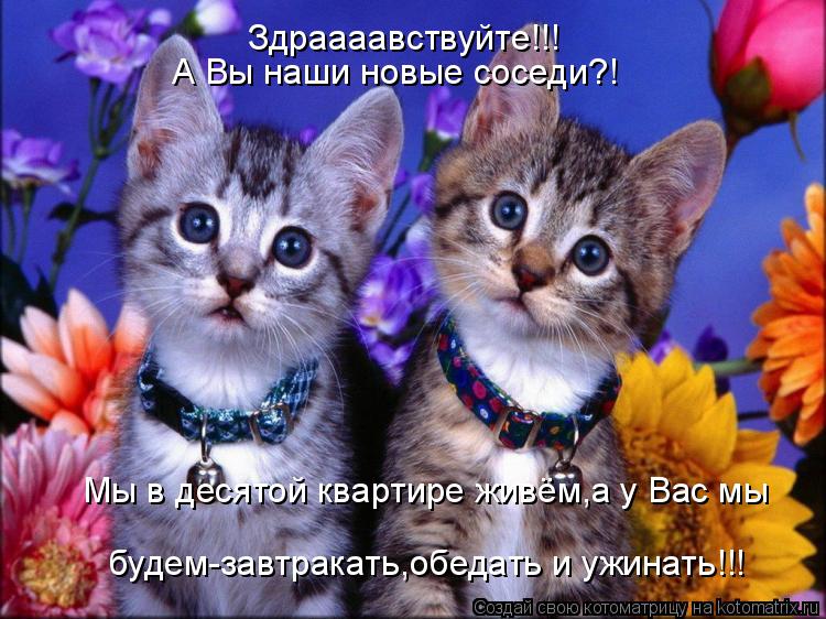 Здраааавствуйте!!! А Вы наши новые соседи?! Мы в десятой квартире живём,а у Вас мы будем-завтракать,о... Котоматрица: Здраааавствуйте!!! А Вы наши новые соседи?! Мы в десятой квартире живём,а у Вас мы будем-завтракать,обедать и ужинать!!!