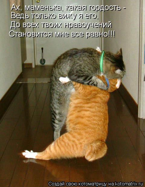 Ах, маменька, какая гордость - Ведь только вижу я его, До всех твоих нравоучений Становится мне все ... Котоматрица: Ах, маменька, какая гордость - Ведь только вижу я его, До всех твоих нравоучений Становится мне все равно!!!