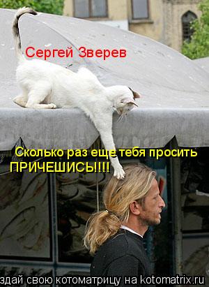Сергей Зверев Сколько раз еще тебя просить ПРИЧЕШИСЬ!!!!... Котоматрица: Сергей Зверев Сколько раз еще тебя просить ПРИЧЕШИСЬ!!!!