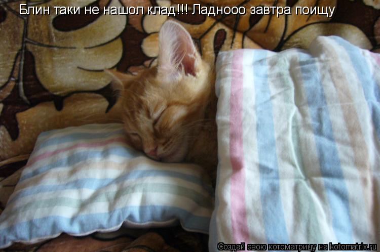 Блин таки не нашол клад!!! Ладнооо завтра поищу... Котоматрица: Блин таки не нашол клад!!! Ладнооо завтра поищу