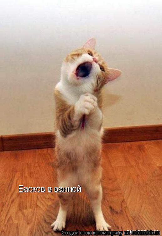 Басков в ванной... Котоматрица: Басков в ванной
