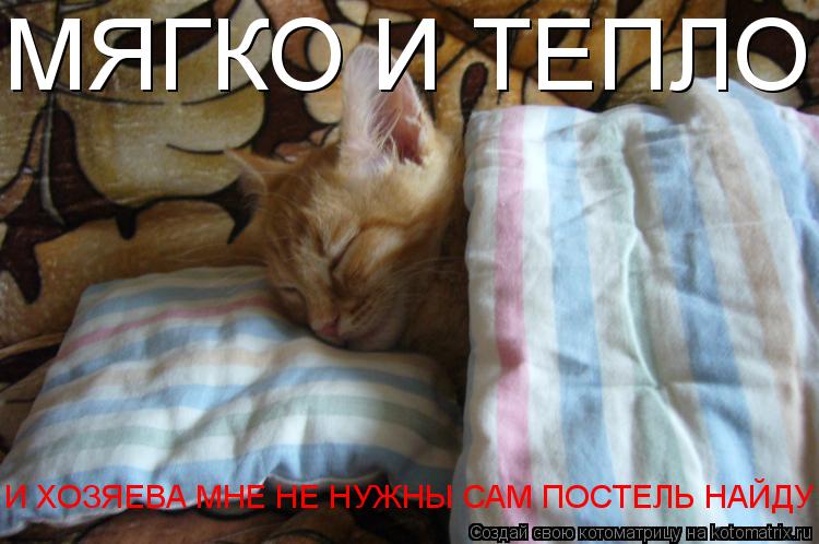 МЯГКО И ТЕПЛО И ХОЗЯЕВА МНЕ НЕ НУЖНЫ САМ ПОСТЕЛЬ НАЙДУ... Котоматрица: МЯГКО И ТЕПЛО И ХОЗЯЕВА МНЕ НЕ НУЖНЫ САМ ПОСТЕЛЬ НАЙДУ