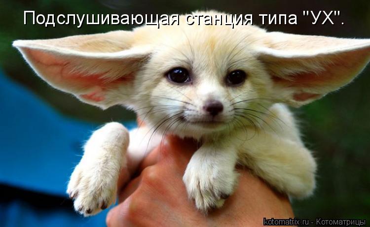 Подслушивающая станция типа "УХ".... Котоматрица: Подслушивающая станция типа "УХ".