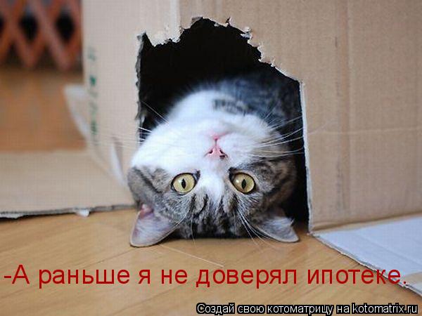 -А раньше я не доверял ипотеке.... Котоматрица: -А раньше я не доверял ипотеке.