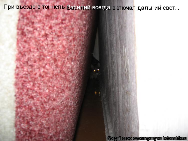При въезде в тоннель Василий всегда включал дальний свет...... Котоматрица: При въезде в тоннель Василий всегда включал дальний свет...