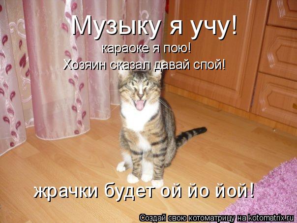 Музыку я учу! караоке я пою! Хозяин сказал давай спой! жрачки будет ой йо йой!... Котоматрица: Музыку я учу! караоке я пою! Хозяин сказал давай спой! жрачки будет ой йо йой!