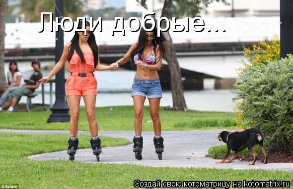 Люди добрые...... Котоматрица: Люди добрые...