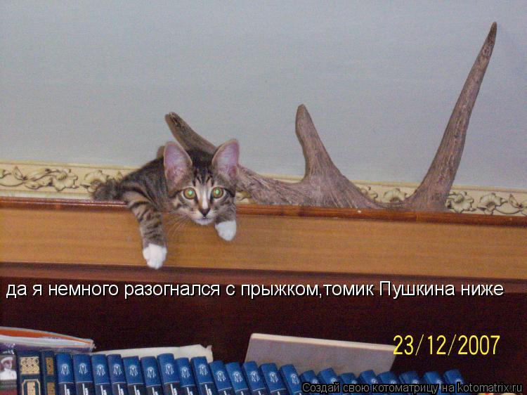 да я немного разогнался с прыжком,томик Пушкина ниже... Котоматрица: да я немного разогнался с прыжком,томик Пушкина ниже