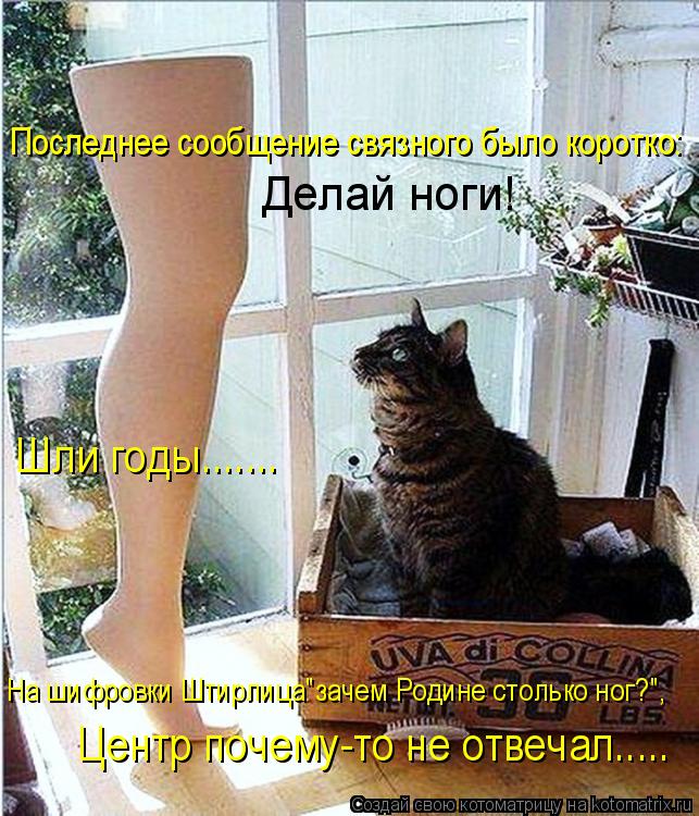 Котоматрица: На шифровки Штирлица"зачем Родине столько ног?", Центр почему-то не отвечал..... Последнее сообщение связного было коротко: Делай ноги! Шли го