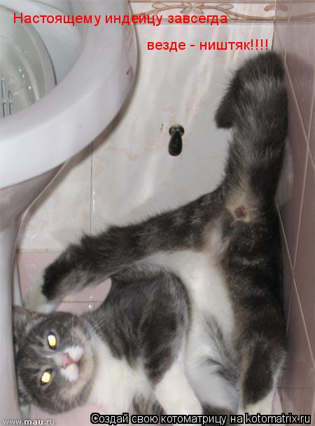 Настоящему индейцу завсегда везде - ништяк!!!!... Котоматрица: Настоящему индейцу завсегда везде - ништяк!!!!