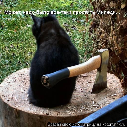 Может, надо было все-таки простить Миледи...... Котоматрица: Может, надо было все-таки простить Миледи...