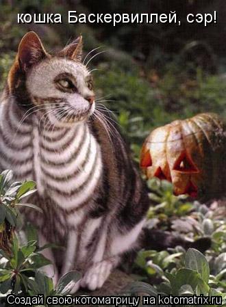 кошка Баскервиллей, сэр!... Котоматрица: кошка Баскервиллей, сэр!
