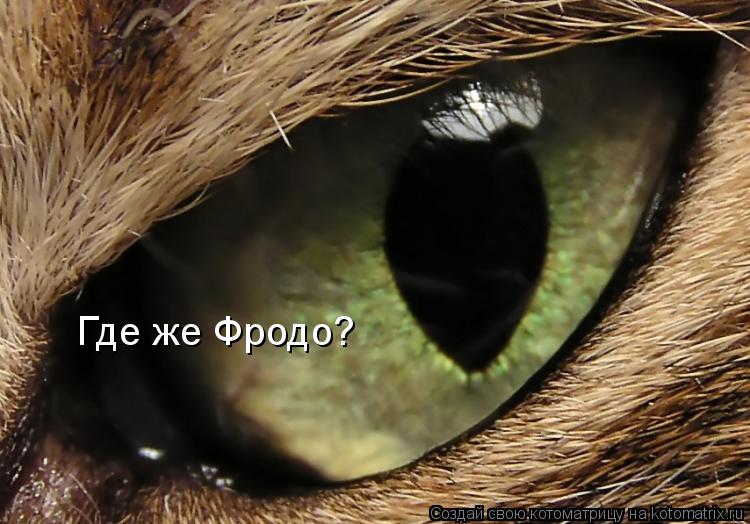 Где же Фродо?... Котоматрица: Где же Фродо?