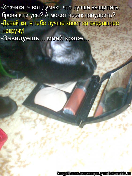 -Хозяйка, я вот думаю, что лучше выщипать: брови или усы? А может носик напудрить? -Давай ка, я тебе ... Котоматрица: -Хозяйка, я вот думаю, что лучше выщипать: брови или усы? А может носик напудрить? -Давай ка, я тебе лучше хвост за вчерашнее накручу! -Завидуеш