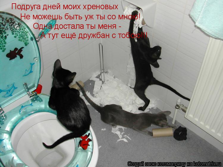 Подруга дней моих хреновых Не можешь быть уж ты со мною! Одна достала ты меня - А тут ещё дружбан с т... Котоматрица: Подруга дней моих хреновых Не можешь быть уж ты со мною! Одна достала ты меня - А тут ещё дружбан с тобою!!!