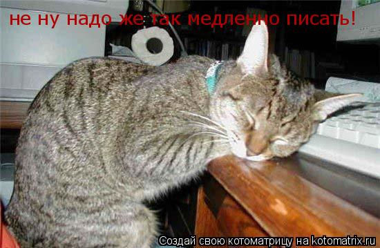 не ну надо же так медленно писать!... Котоматрица: не ну надо же так медленно писать!