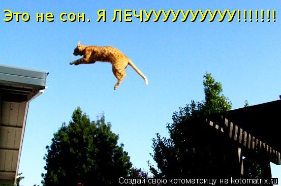 Это не сон. Я ЛЕЧУУУУУУУУУУ!!!!!!!... Котоматрица: Это не сон. Я ЛЕЧУУУУУУУУУУ!!!!!!!