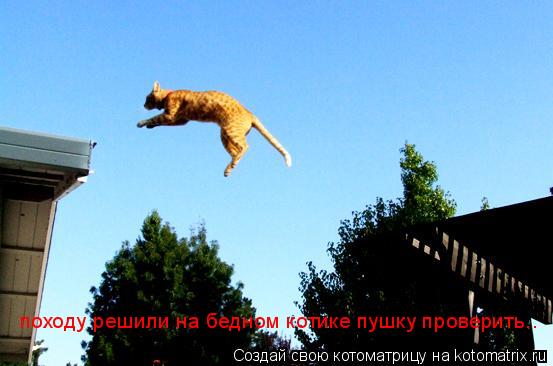 походу решили на бедном котике пушку проверить..... Котоматрица: походу решили на бедном котике пушку проверить..