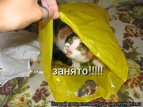 занято!!!!!... Котоматрица: занято!!!!!