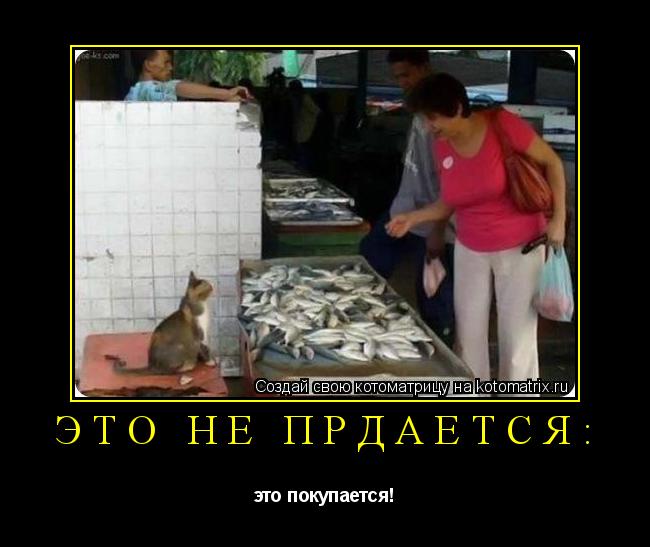 Котоматрица: это не прдаётся: это покупается!