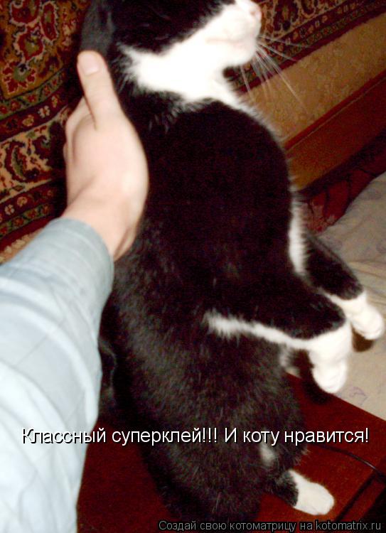 Классный суперклей!!! И коту нравится!... Котоматрица: Классный суперклей!!! И коту нравится!