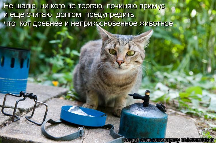 Котоматрица: Не шалю, ни кого не трогаю, починяю примус, и еще считаю  долгом  предупредить,  что  кот древнее и неприкосновенное животное