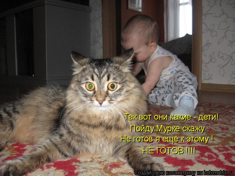 Котоматрица: Так вот они какие - дети! Пойду Мурке скажу : Не готов я ещё к этому ! НЕ ГОТОВ !!!!
