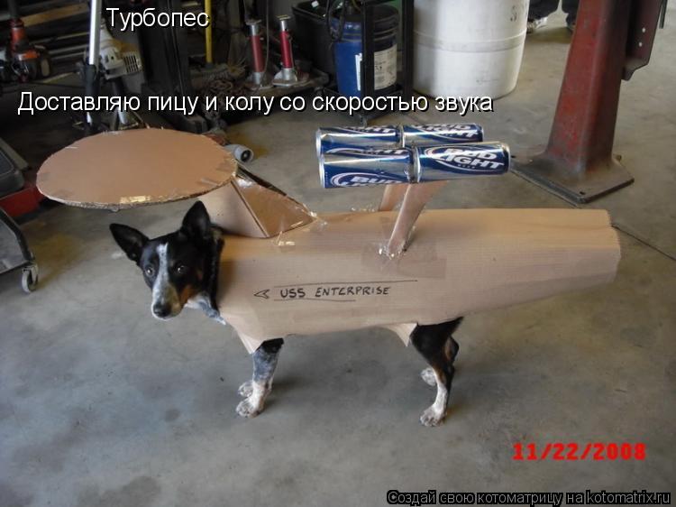 Доставляю пицу и колу со скоростью звука Турбопес... Котоматрица: Доставляю пицу и колу со скоростью звука Турбопес