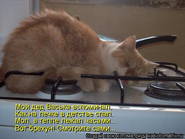 Котоматрица: Мол, в тепле лежал часами... Как на печке в детстве спал. Мой дед Васька вспоминал, Вот брехун! Смотрите сами...
