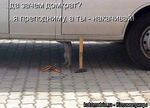 ..да зачем домкрат? ..я преподниму, а ты - накачивай!... Котоматрица: ..да зачем домкрат? ..я преподниму, а ты - накачивай!