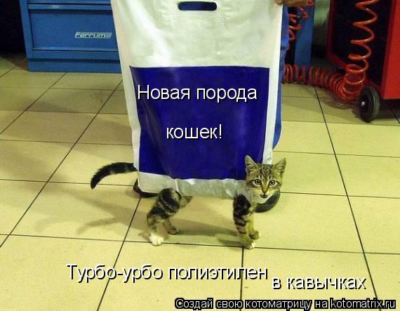 Новая порода кошек! Турбо-урбо полиэтилен Турбо-урбо полиэтилен в кавычках... Котоматрица: Новая порода кошек! Турбо-урбо полиэтилен Турбо-урбо полиэтилен в кавычках