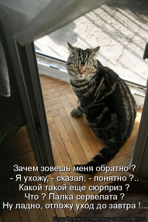 Зачем зовешь меня обратно ? - Я ухожу, - сказал, - понятно ?.. Какой такой еще сюрприз ? Что ? Палка... Котоматрица: Зачем зовешь меня обратно ? - Я ухожу, - сказал, - понятно ?.. Какой такой еще сюрприз ? Что ? Палка сервелата ? Ну ладно, отложу уход до завтра !...