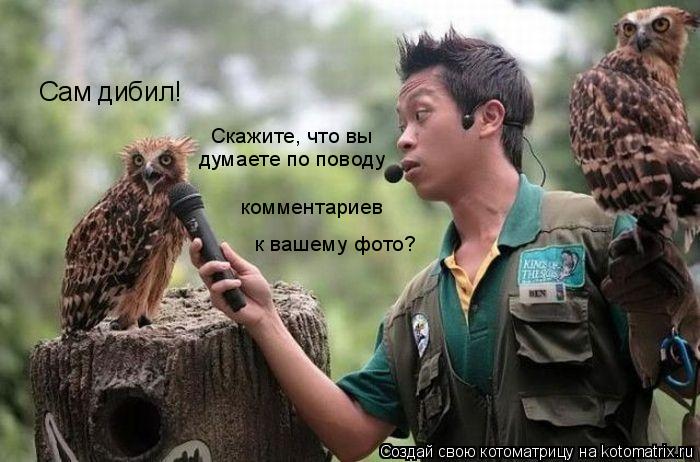 Скажите, что вы думаете по поводу к вашему фото? комментариев Сам дибил!... Котоматрица: Скажите, что вы думаете по поводу к вашему фото? комментариев Сам дибил!