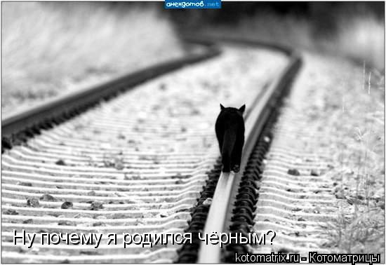 Ну почему я родился чёрным?... Котоматрица: Ну почему я родился чёрным?