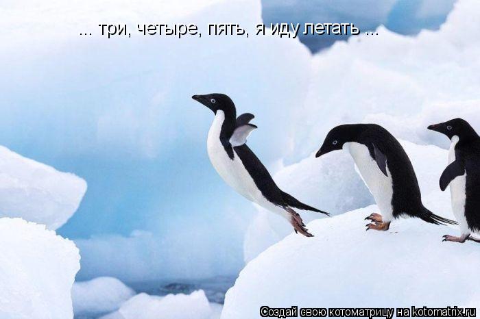 ... три, четыре, пять, я иду летать ...... Котоматрица: ... три, четыре, пять, я иду летать ...