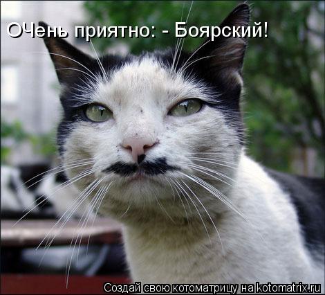 ОЧень приятно: - Боярский!... Котоматрица: ОЧень приятно: - Боярский!