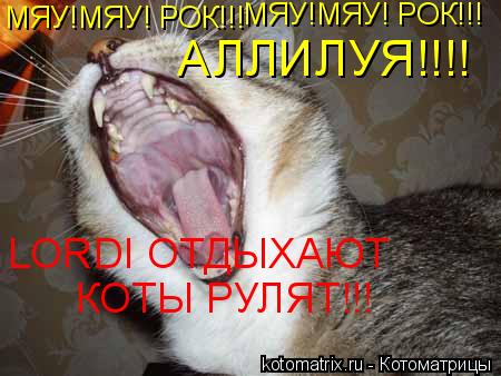 МЯУ!МЯУ! РОК!!! МЯУ!МЯУ! РОК!!! АЛЛИЛУЯ!!!! LORDI ОТДЫХАЮТ КОТЫ РУЛЯТ!!!... Котоматрица: МЯУ!МЯУ! РОК!!! МЯУ!МЯУ! РОК!!! АЛЛИЛУЯ!!!! LORDI ОТДЫХАЮТ КОТЫ РУЛЯТ!!!