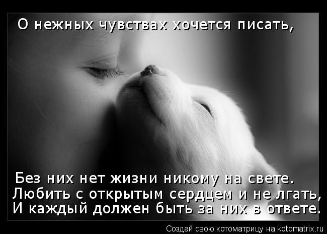О нежных чувствах хочется писать, Без них нет жизни никому на свете. Любить с открытым сердцем и не л... Котоматрица: О нежных чувствах хочется писать, Без них нет жизни никому на свете. Любить с открытым сердцем и не лгать, И каждый должен быть за них в ответ