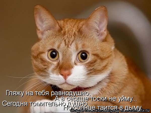 Гляжу на тебя равнодушно, А в сердце тоски не уйму... Сегодня томительно душно, Но солнце таится в ды... Котоматрица: Гляжу на тебя равнодушно, А в сердце тоски не уйму... Сегодня томительно душно, Но солнце таится в дыму.