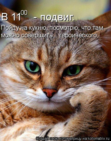 В 11 - подвиг. 00 Пойду на кухню, посмотрю, что там можно совершить... героического.... Котоматрица: В 11 - подвиг. 00 Пойду на кухню, посмотрю, что там можно совершить... героического.