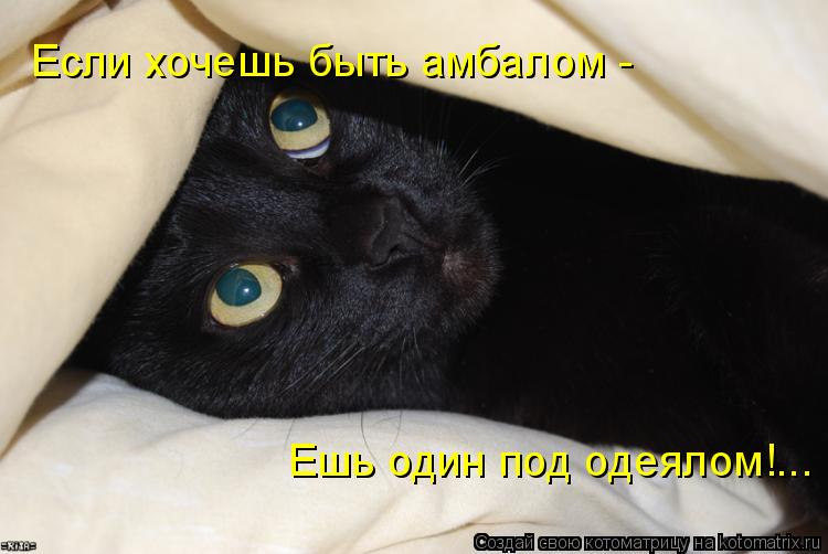 Если хочешь быть амбалом - Ешь один под одеялом!...... Котоматрица: Если хочешь быть амбалом - Ешь один под одеялом!...
