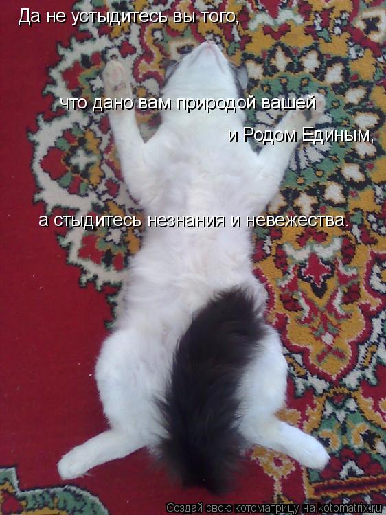 Да не устыдитесь вы того, что дано вам природой вашей и Родом Единым, а стыдитесь незнания и невеж... Котоматрица: Да не устыдитесь вы того, что дано вам природой вашей и Родом Единым, а стыдитесь незнания и невежества.