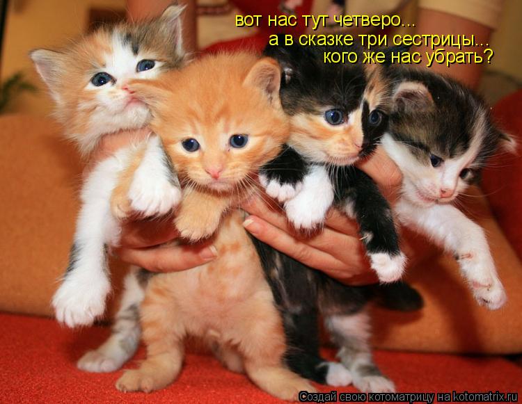 вот нас тут четверо... а в сказке три сестрицы... кого же нас убрать?... Котоматрица: вот нас тут четверо... а в сказке три сестрицы... кого же нас убрать?