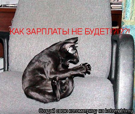 КАК ЗАРПЛАТЫ НЕ БУДЕТ!?!??!... Котоматрица: КАК ЗАРПЛАТЫ НЕ БУДЕТ!?!??!